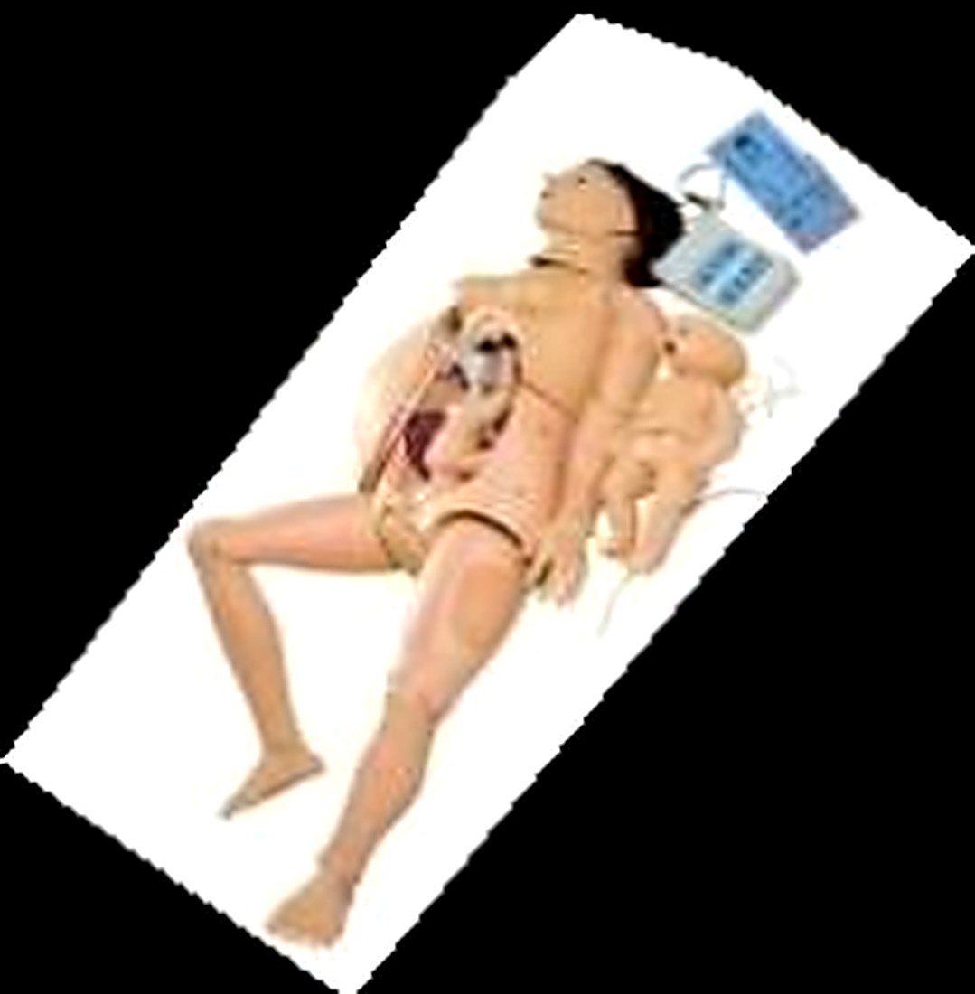 Advanced Delivery And Maternal And Neontal Emergency Simulator (Imported) — product photograph | VistaStay Med