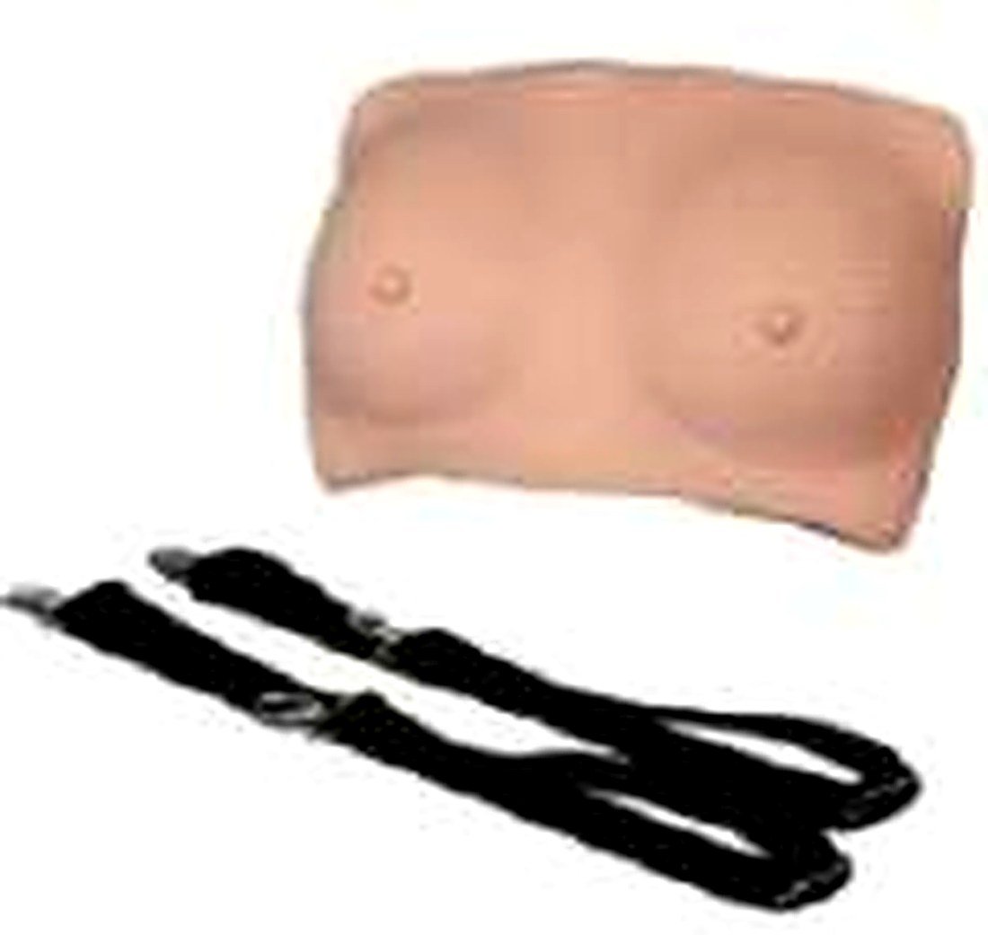 Breast Examination Model(Imported) — product photograph | VistaStay Med