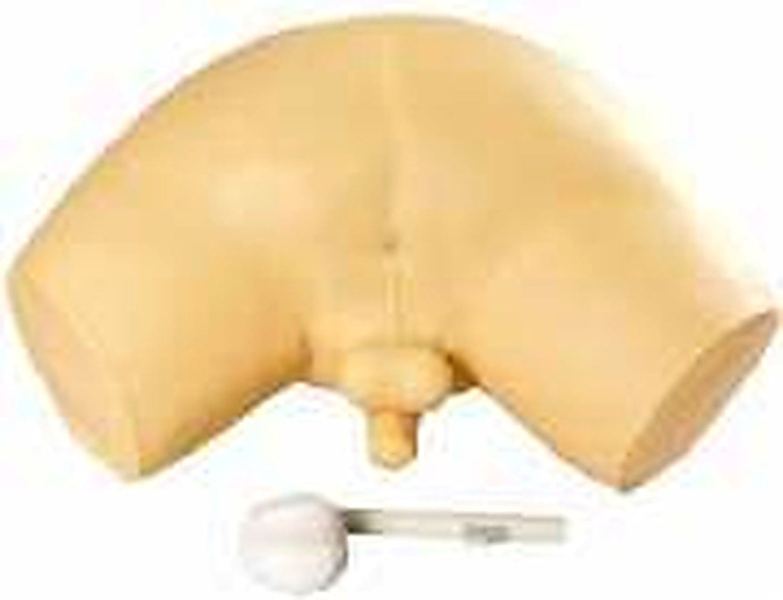 Prostate Inspection Simulator — product photograph | VistaStay Med