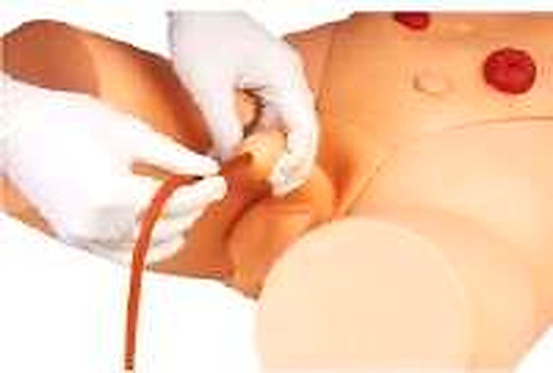 Male Catherization Training Simulator (Imported) — product photograph | VistaStay Med
