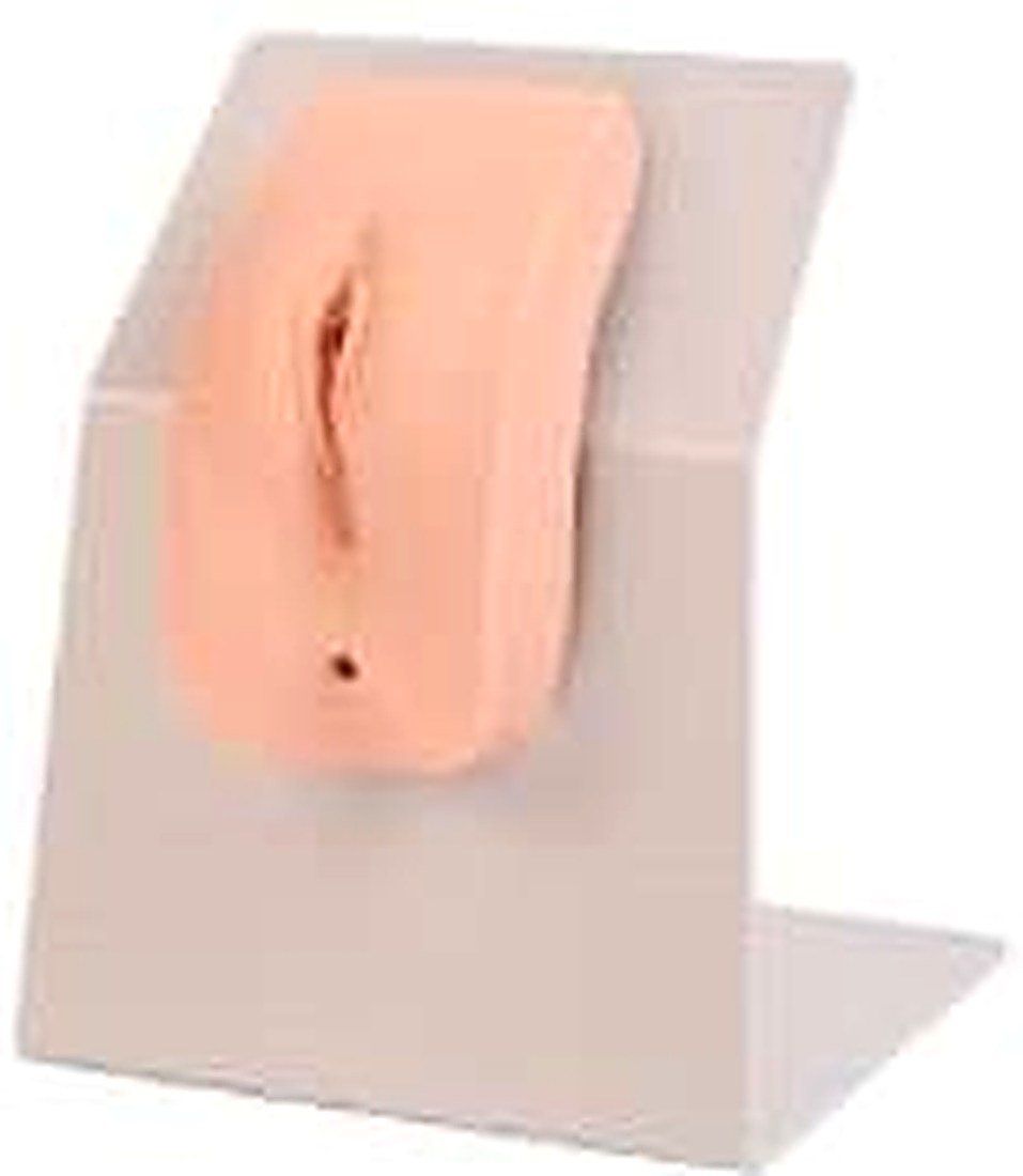 Advanced Wearable Female Urethral Catheterization Model (Imported) — product photograph | VistaStay Med