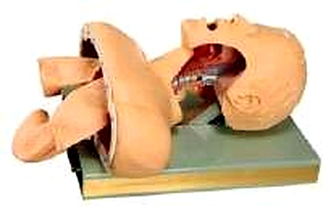 Airway Intubation Simulator (Imported) — product photograph | VistaStay Med