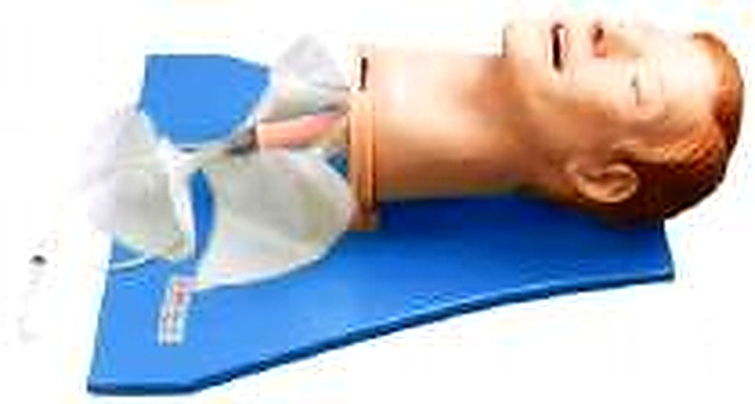 Multifunction Airway Management Model — product photograph | VistaStay Med