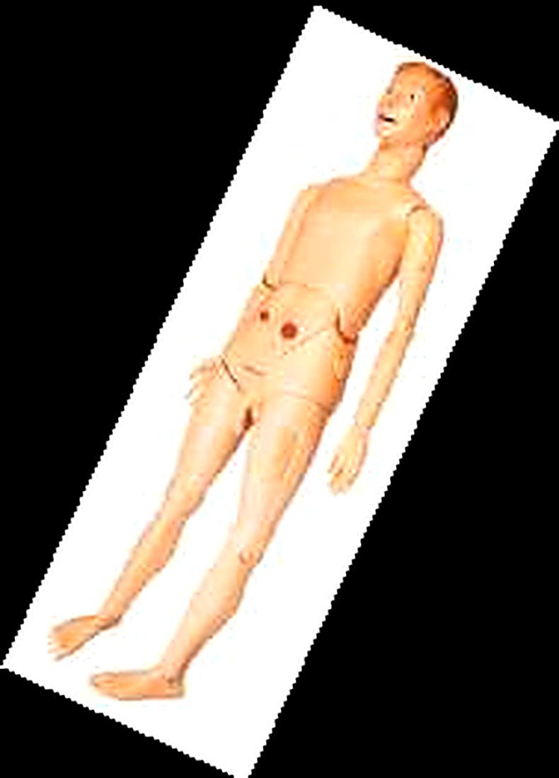 Advanced Nursing And Wound Care Manikin (Imported) — product photograph | VistaStay Med
