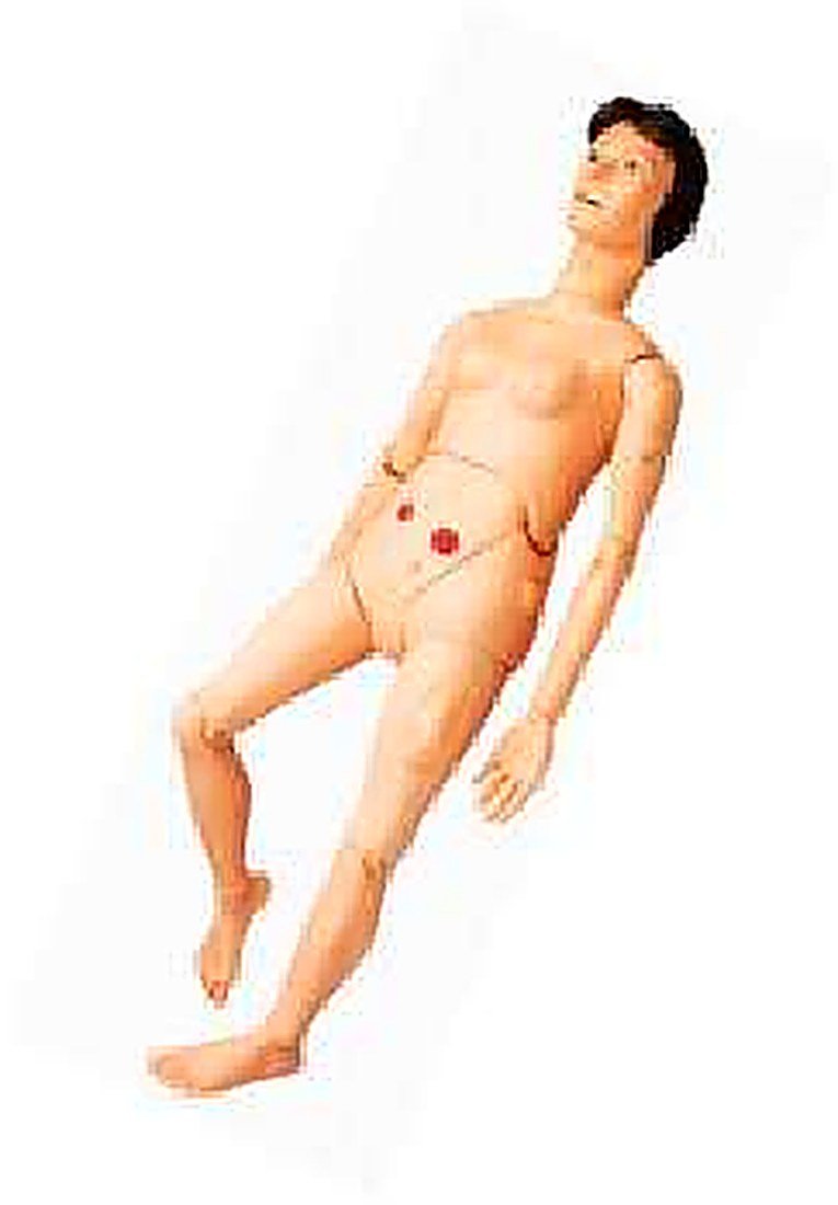 Advanced Nursing And Wound Care Manikin (Imported) - ) — product photograph | VistaStay Med