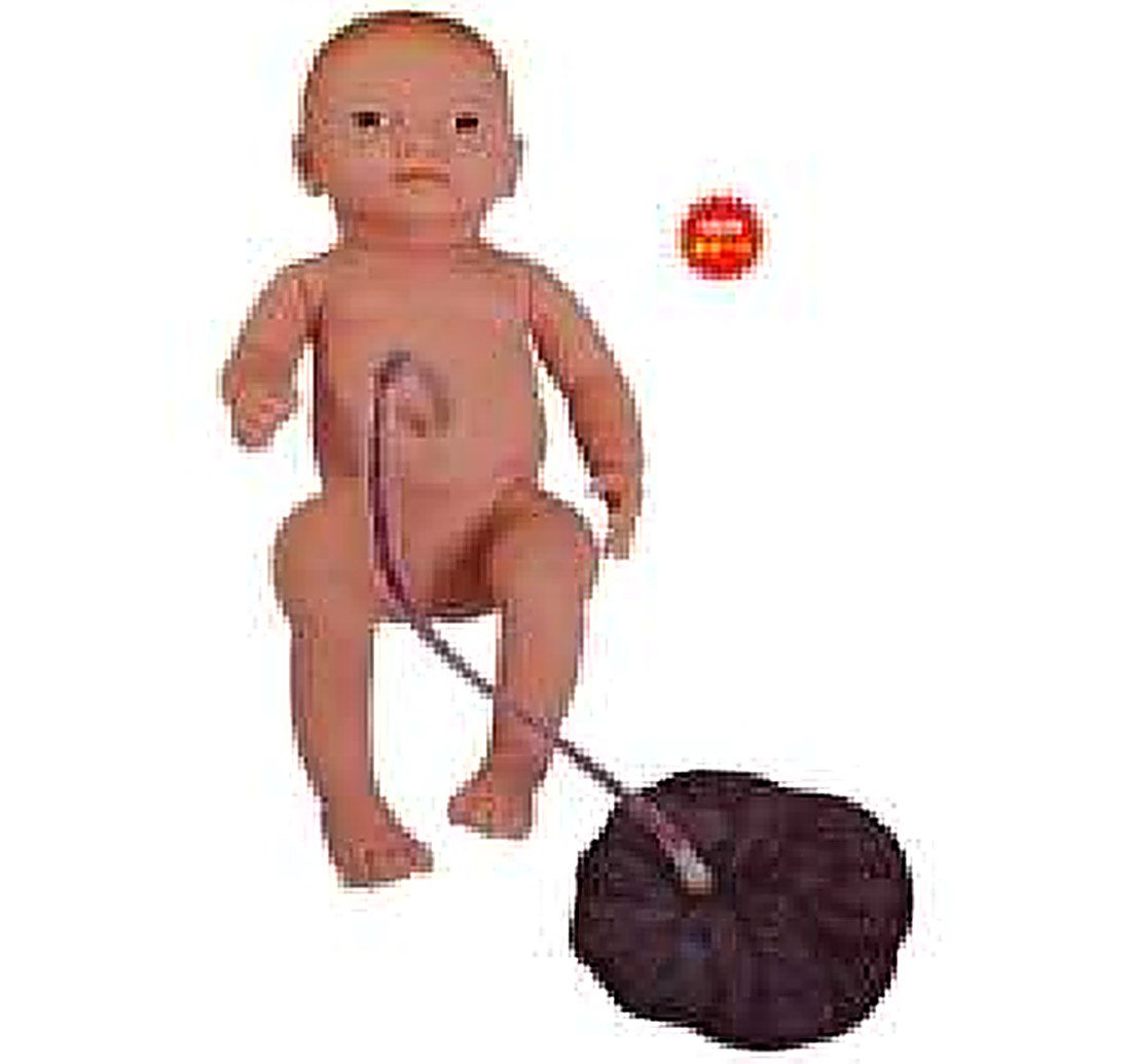 Neonatal Umbilical Cord, Placental Care — product photograph | VistaStay Med