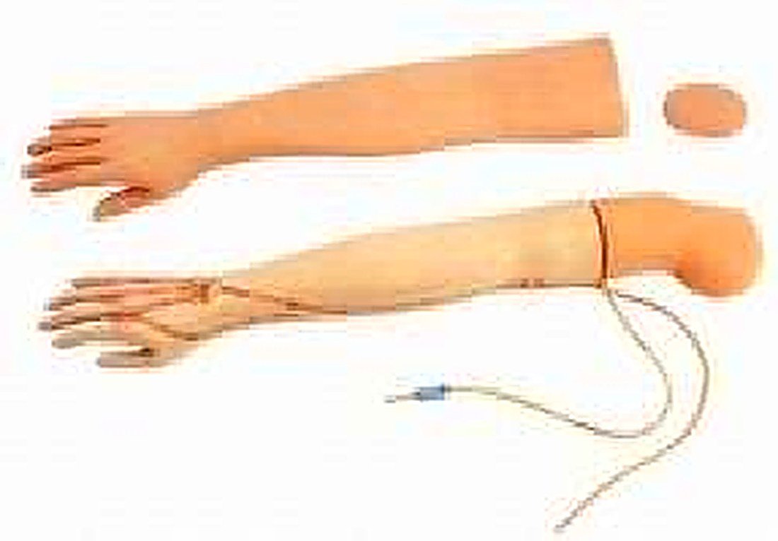 Multifunctional Adult Iv Training Arm — product photograph | VistaStay Med