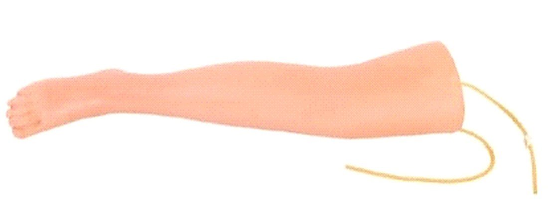 Advanced Intravenous Transfusion Leg Model (Imported) — product photograph | VistaStay Med