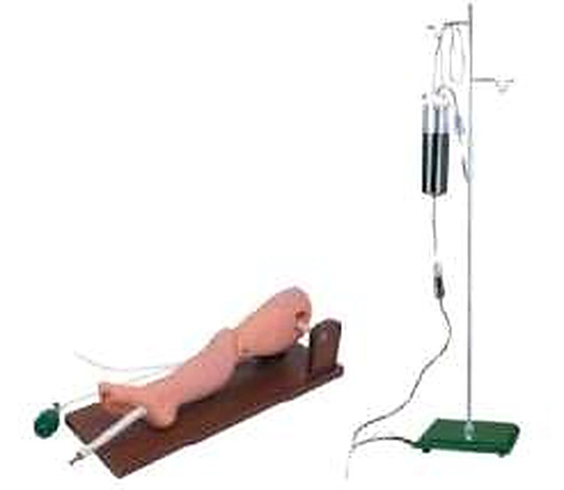 Bone Marrow Puncture And Femoral Venipuncture Model (Imported) — product photograph | VistaStay Med