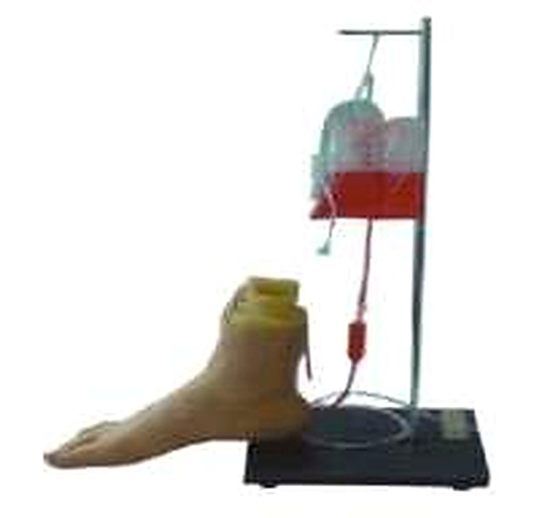 Foot Vein Injection Model (Imported) — product photograph | VistaStay Med