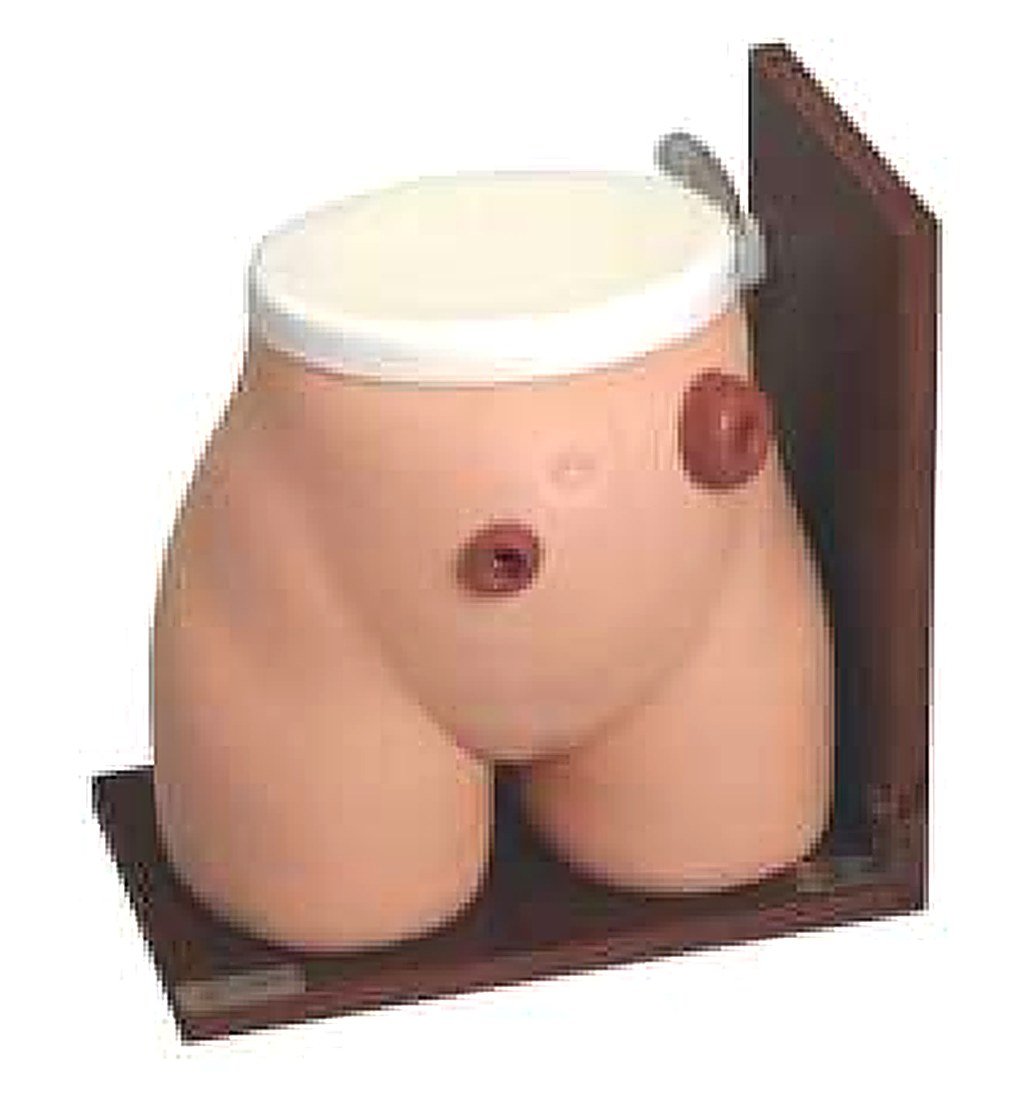 Ostomy Nursing Model (Imported) — product photograph | VistaStay Med