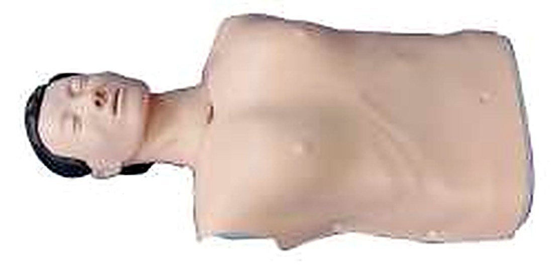 Half Body Cpr Training Model (Male) (Imported) — product photograph | VistaStay Med