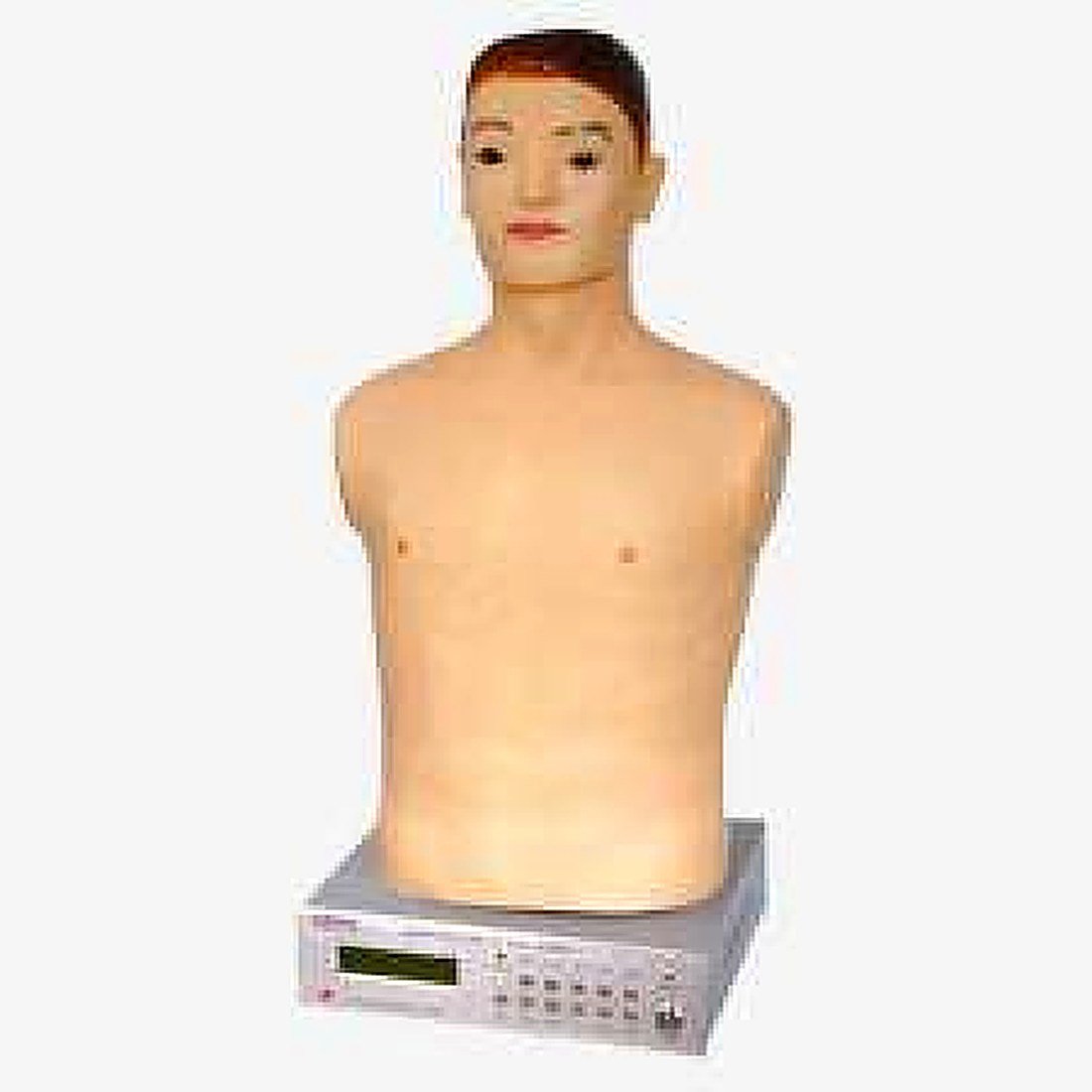 Auscultation Manikin (Imported) — product photograph | VistaStay Med