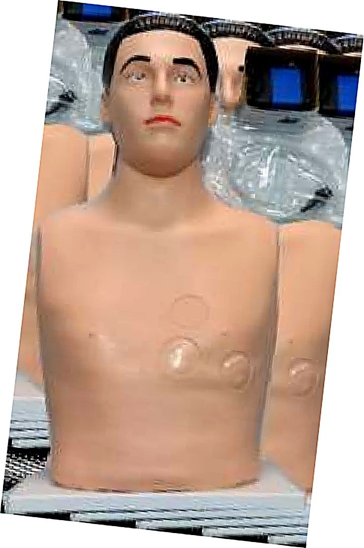 Pericardial Puncture And Intra Cardiac Injection Simulator — product photograph | VistaStay Med