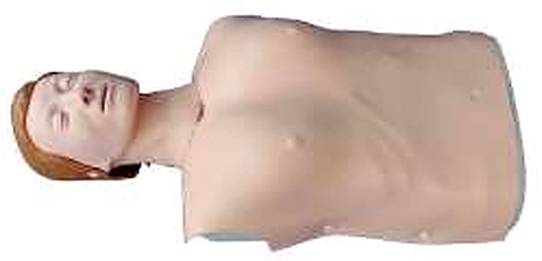 Half Body Cpr Training Model (Female) (Imported) — product photograph | VistaStay Med