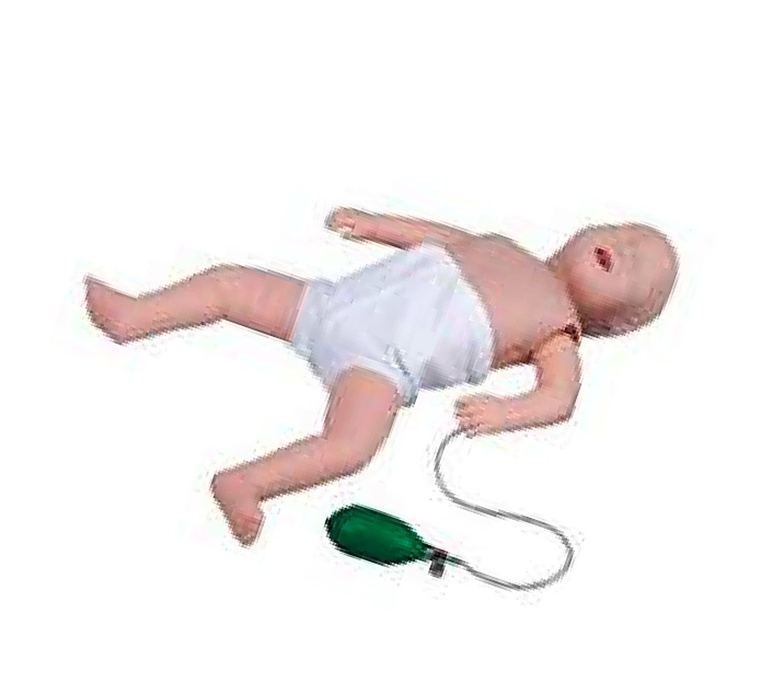 Half-Body Cpr Training Manikin — detail view | VistaStay Med