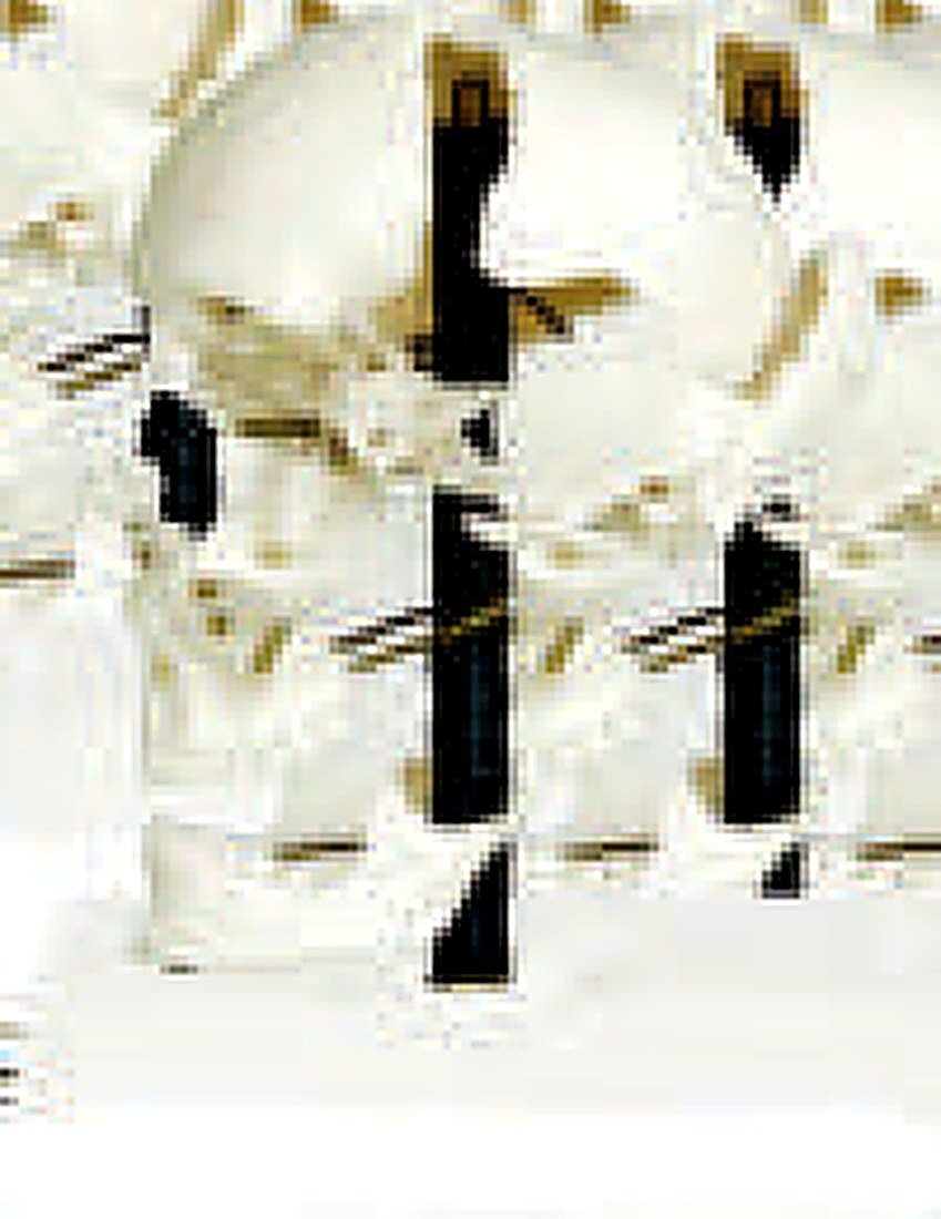 DISARTICULATED SKULL (IMPORTED) - This — product photograph | VistaStay Med