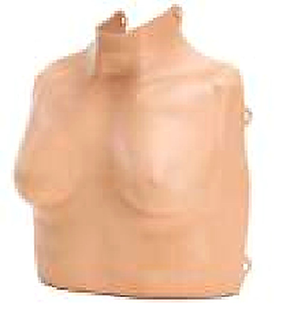 Adult Male/Child /Female Top (3-in-1) Manikin — detail view | VistaStay Med