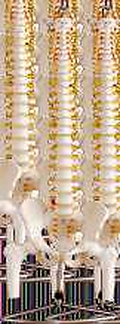 CERVICAL SPINE WITH NECK ARTERY AND OCCIPITAL BONE (IMPORTED) - Consisted of — detail view | VistaStay Med