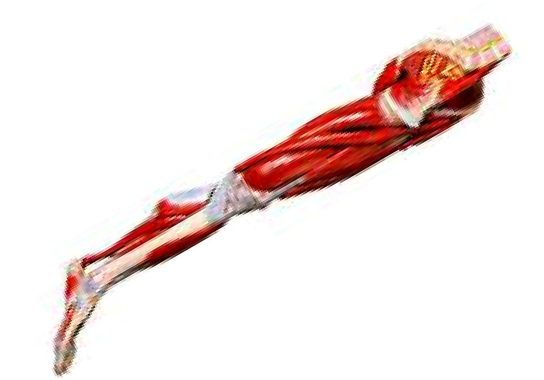 Muscles Of Leg With Male Vessels And — product photograph | VistaStay Med