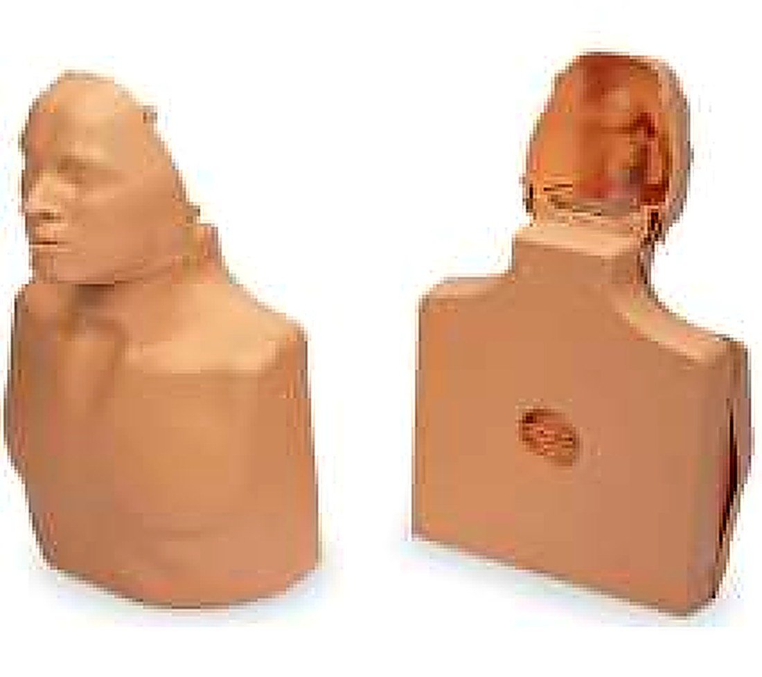 CPR Training Manikin Adult Male & Child (2-in-1) — product photograph | VistaStay Med